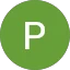 P Nadolink Avatar