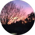 candidate 16 Avatar
