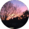candidate 16 Avatar
